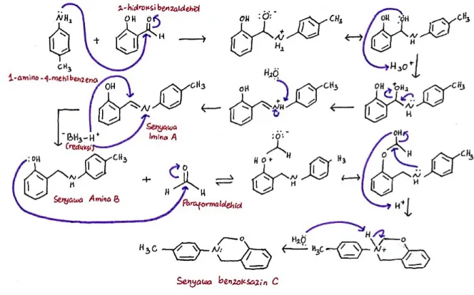 Gambar 4. Mekanisme pembentukan senyawa dihidro-1,3-benzoksazin  