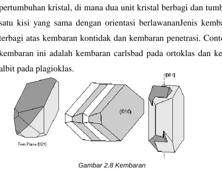 Gambar 2.8 Kembaran  tumbuh 