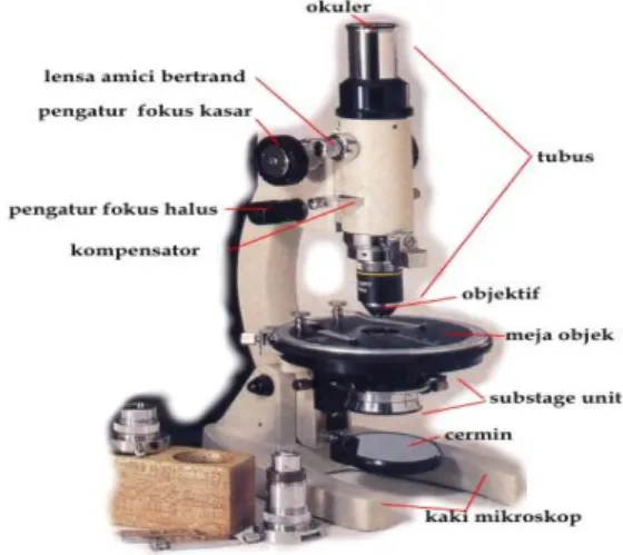 Gambar 2.1 Mikroskop 