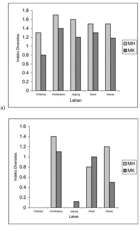 Gambar 1. Indeks Diversitas makrofauna yang aktif di permukaan (a) dan di dalam  (b)  tanah pada musim hujan (MH) dan musim kemarau (MK) 