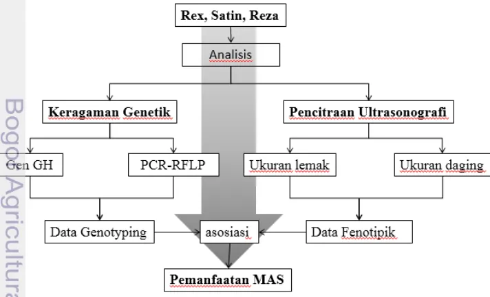 Gambar 1  Bagan kerangka pemikiran penelitian 