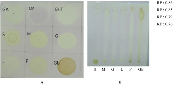 Gambar 1. (A) Pengujian  aktivitas  antioksidan dengan  metode  dot  blot,  (B) penentuan  aktivitas  penangkal radikal  dengan  TLC-DPPH