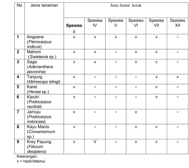 Tabel 8. Jenis Lumut Kerak yang Ditemukan dengan Jenis Tanaman sebagai  Substrat pada Lokasi Pengamatan Arboretum Cibubur 
