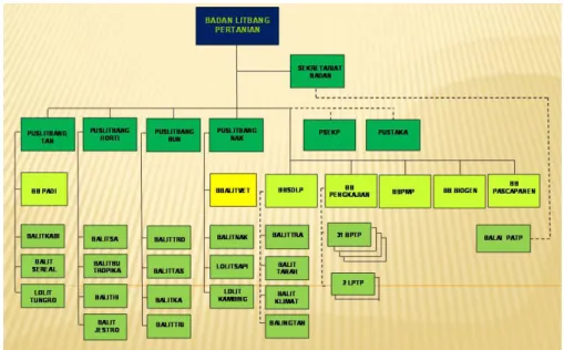 Gambar 1. Struktur Organisasi Badan Litbang Pertanian