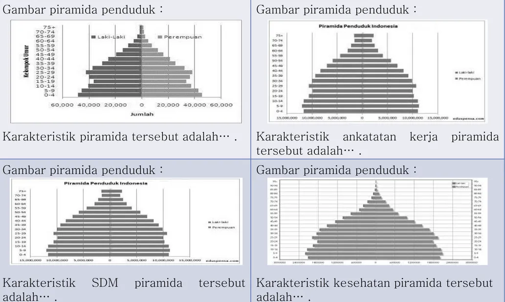 Gambar piramida penduduk :