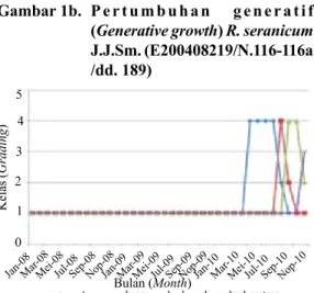 Gambar 1d.  Pertumbuhan    generatif  (Generative growth) R. seranicum  J.J.Sm.   (E200509499/N.139-139a/Dm