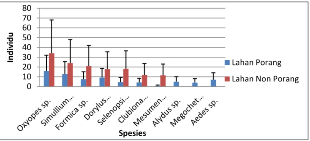 Gambar 3.  Rata-  rata  kelimpahan Arthropoda Kanopi pada Kebun Berbasis Sengon  Laut (Paraserianthes falcataria ) dengan Tanaman Budidaya Porang dan  Non Budidaya Porang