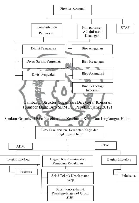 Gambar 5. Struktur Organisasi Direktorat Komersil  (Sumber Data: Biro SDM PT. Pupuk Kujang, 2012) 
