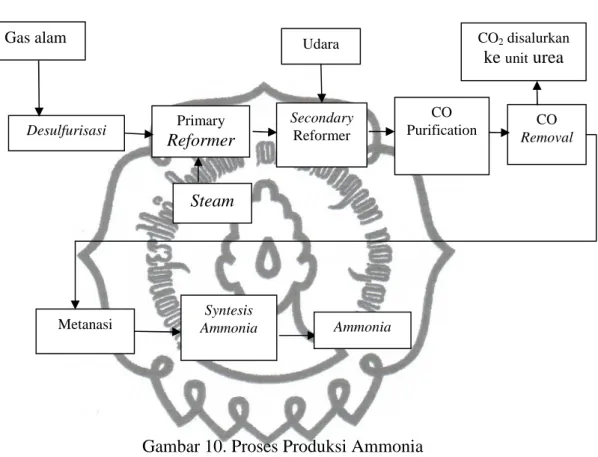 Gambar 10. Proses Produksi Ammonia (Sumber : Unit Ammonia PT. Pupuk Kujang, 2012) 3.  Pabrik Urea 