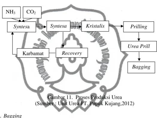 Gambar 11.  Proses Produksi Urea  (Sumber : Unit Urea PT. Pupuk Kujang,2012)  4.  Bagging 