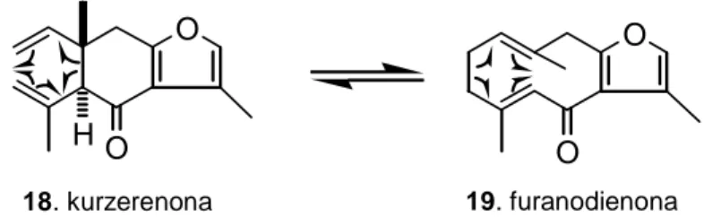 Gambar 2. Penataan ulang kurzerenona (18) dan furanodienona (19).