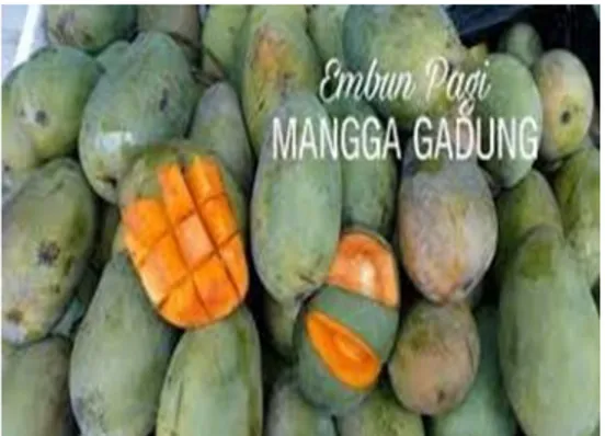 Gambar jenis-jenis buah Mangga 
