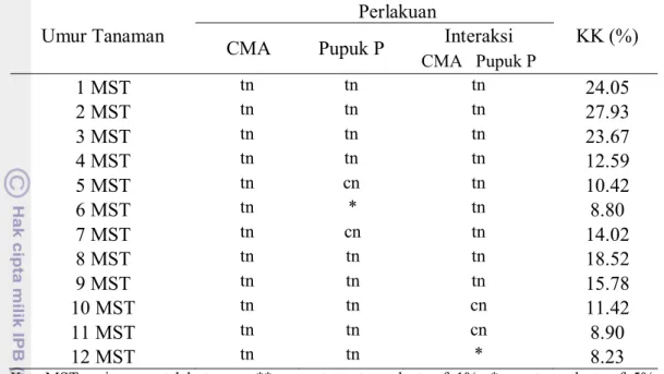 Tabel 3. Pengaruh perlakuan pemberian pupuk P terhadap panjang tunas 