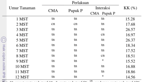 Tabel 6. Pengaruh  perlakuan  pemberian  inokulan  CMA  dan  pemupukan  P  terhadap diameter tunas 2 MST 