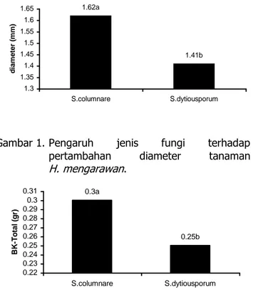 Gambar 2. Pengaruh  jenis  fungi  terhadap  berat  kering total tanaman  H. mengarawan