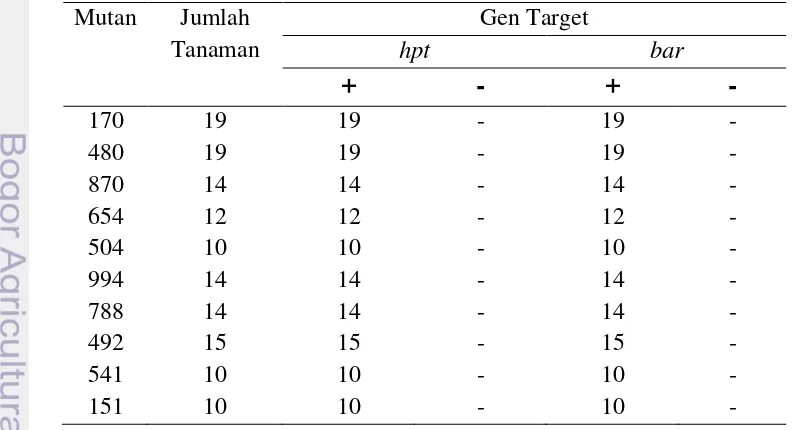 Tabel 6 Data hasil PCR gen hpt dan bar pada 10 mutan dengan nilai vigour 