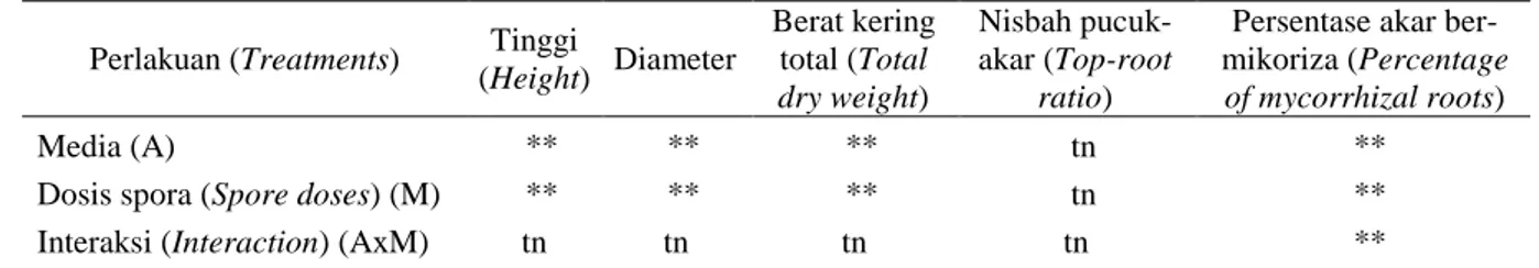 Tabel 2 menunjukkan bahwa pengaruh  inokulasi serbuk spora cendawan S.   citri-num 0,1 g, 0,2 g, dan 0,3 g setiap tanaman  terhadap tinggi, diameter, berat kering  to-tal, nisbah pucuk-akar, dan persentase akar  bermikoriza menunjukkan adanya  perbeda-an  
