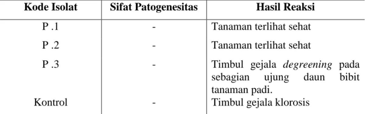 Tabel  5. Hasil pengujiam patogenesitas  