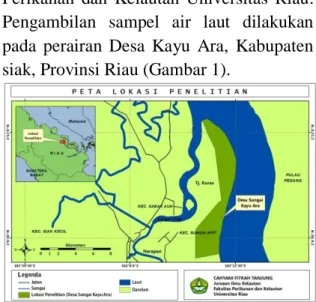 Gambar 1. Peta Lokasi Stasiun Penelitian 