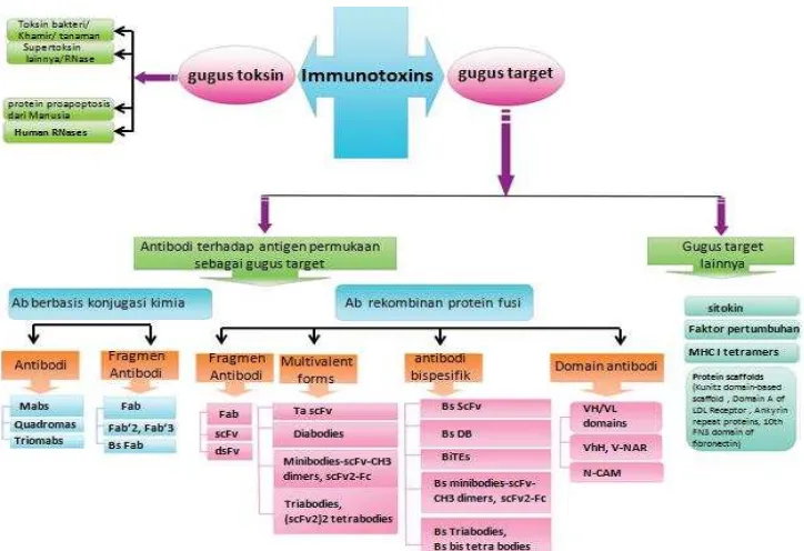 Gambar 3. Format konstruksi imunotoksin (diadopsi dari Madhumathi & Verma2012).