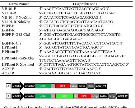 Gambar 5 Peta konstruksi fusi gen scFv dan HPR di dalam plasmid pPICZα-scFv-HPR (A) dan pPICZα-scFv-GFP-HPR (B)