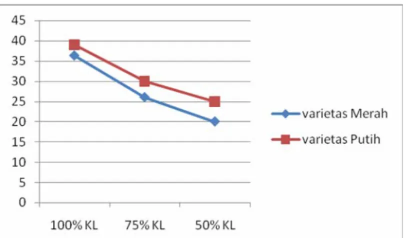 Gambar 9. Grafik rata-rata laju respirasi (ppm/l/menit) C.  edulis Ker. varietas  Merah dan Putih pada variasi ketersediaan air