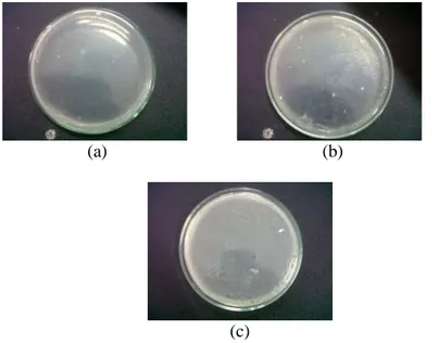Gambar 4.2. Pertumbuhan bakteri mixed culture pada salinitas 30  gram/L (a) Perbandingan 25:75 (b) Perbandingan 50:50 (c) 