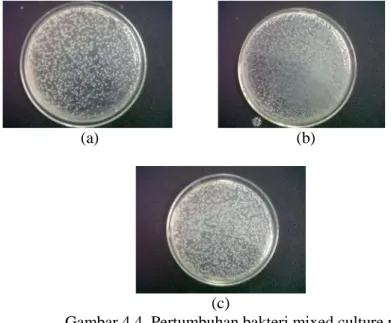 Gambar 4.4. Pertumbuhan bakteri mixed culture pada  konsentrasi kromium 50 mg/L (a) Perbandingan 25:75 (b) 