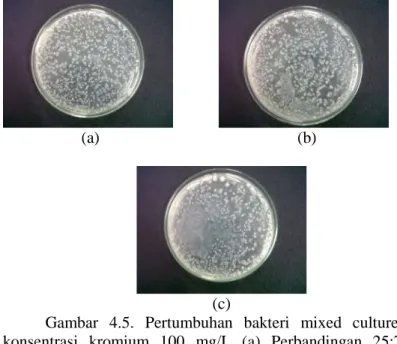 Gambar 4.5. Pertumbuhan bakteri mixed culture pada  konsentrasi kromium 100 mg/L (a) Perbandingan 25:75 (b)  Perbandingan 50:50 (c) Perbandingan 75:25 