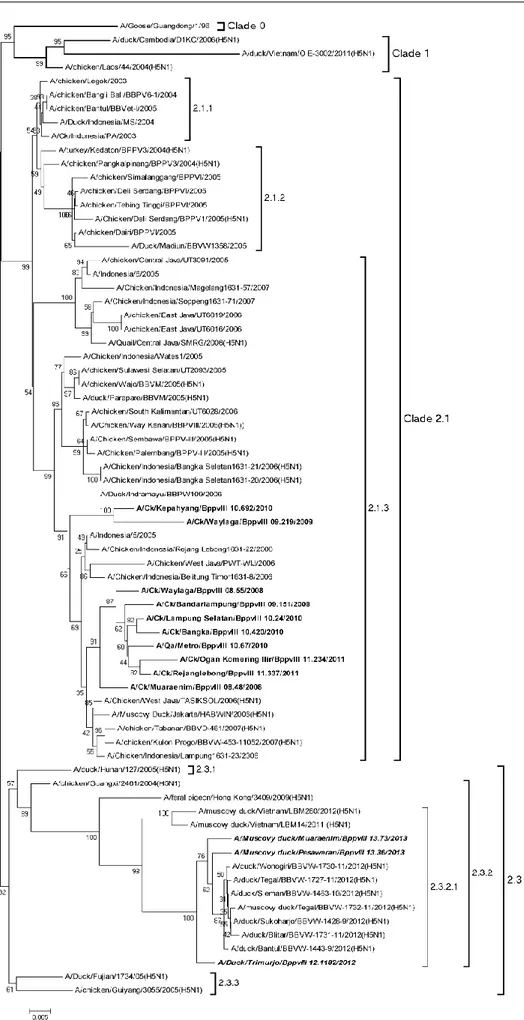 Gambar 3. Phylogenic tree isolat Lampung 2008-2013 ( cetak tebal merupakan  isolat penelitian)
