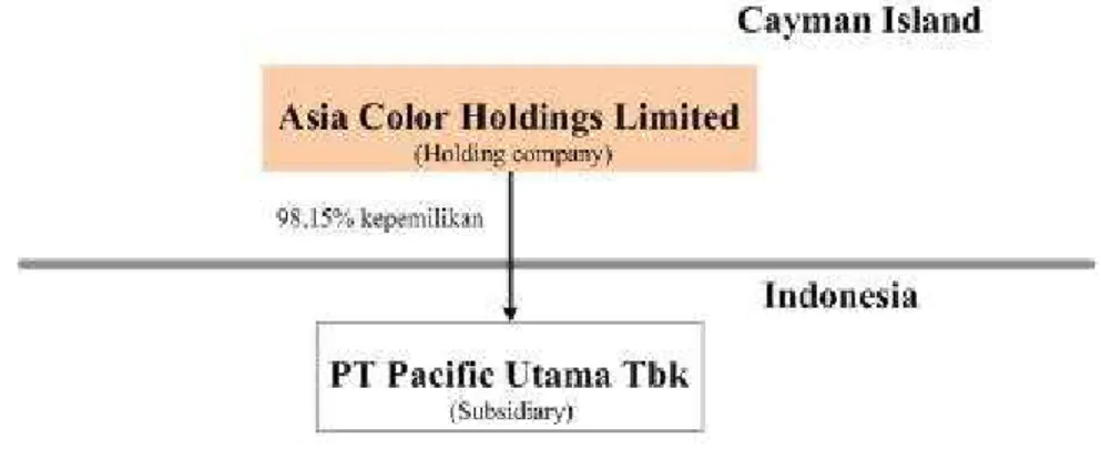 Gambar 4.1. Skema Holding Company 