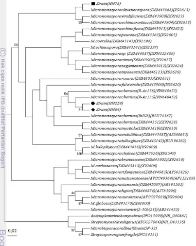 Gambar 9 Dendogram filogenetik berdasar sekuen gen 16S rRNA isolat 