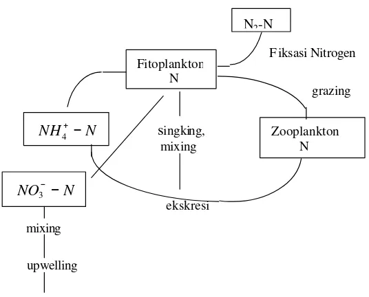 Gambar 2.  Siklus nitrogen di zona eufotik (Tett dan Edwards 1984; Lalli dan                           Parsons 1993)