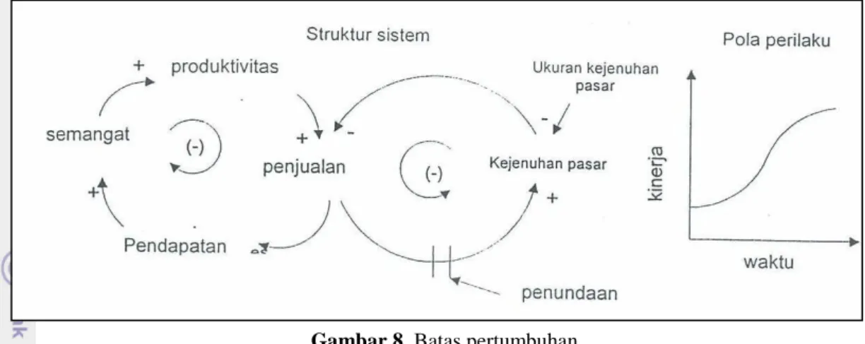 Gambar 8. Batas pertumbuhan 