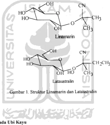 Gambar 1. Struktur Linamarin dan Lataustralin