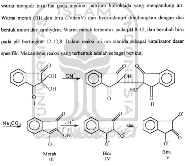 Gambar 2. Reaksi sianida dengan ninhydrin (Nagara. P. dkk, 2002)