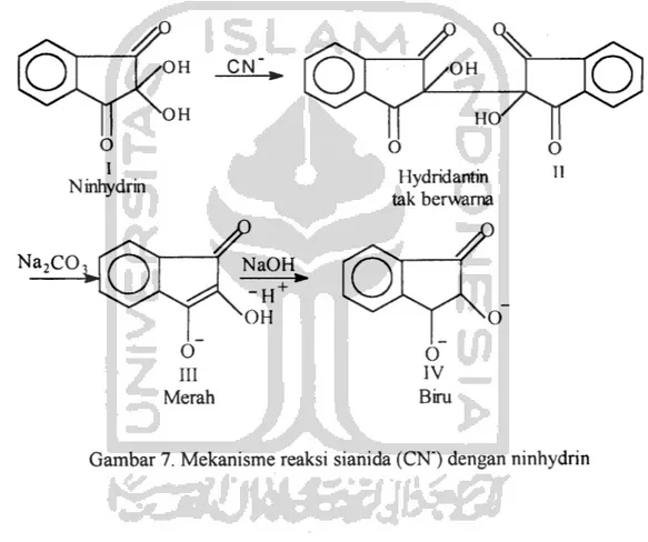 Gambar 7. Mekanisme reaksi sianida (CN&#34;) dengan ninhydrin