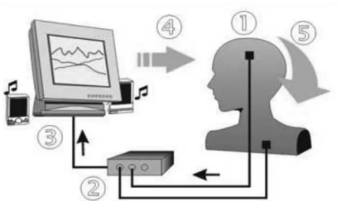 Gambar 1. Langkah-langkah EEG Biofeedback. 12