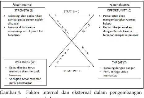 Gambar 4.   Faktor  internal  dan  eksternal  dalam  pengembangan  tanaman kelapa. 