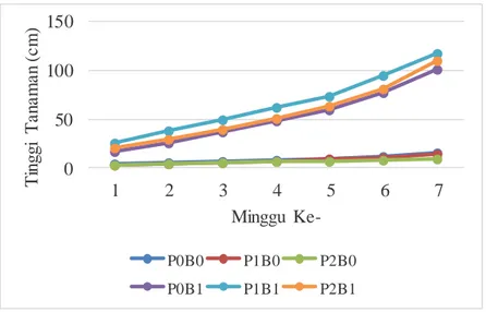 Gambar 1. Grafik pengaruh aplikasi Pseudomonas sp. dan bahan organik  terhadap tinggi tanaman tomat 
