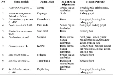 Tabel 32 Contoh 10 (sepuluh) jenis tumbuhan obat di Kabupaten Cianjur yang dapat digunakan untuk mengobati penyakit ginjal 