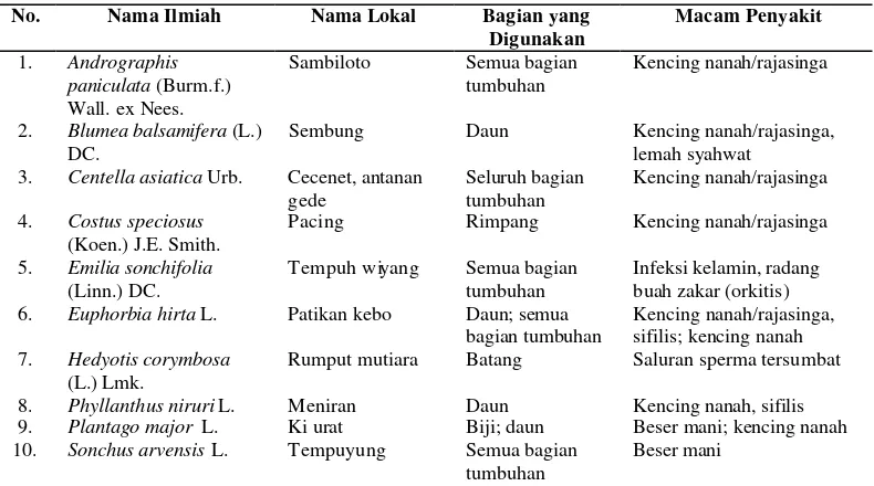 Tabel 36 Contoh 10 (sepuluh) jenis tumbuhan obat di Kabupaten Cianjur yang dapat digunakan untuk mengobati penyakit khusus wanita 