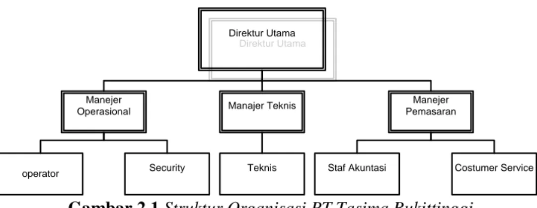 Gambar 2.1 Struktur Organisasi PT.Tasima Bukittinggi  3.  Tugas Dan Tanggung Jawab 
