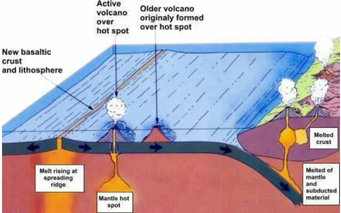 Figure 2.5. Volcanism and Plate Tectonic (Source: Montgomery, 1991, page: 180)
