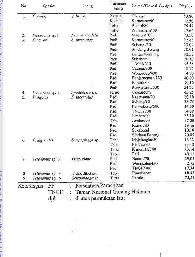 Tabel 4.  Telenomus spp. yang didapat dari berbagai inang dan lokasi di Jawa 