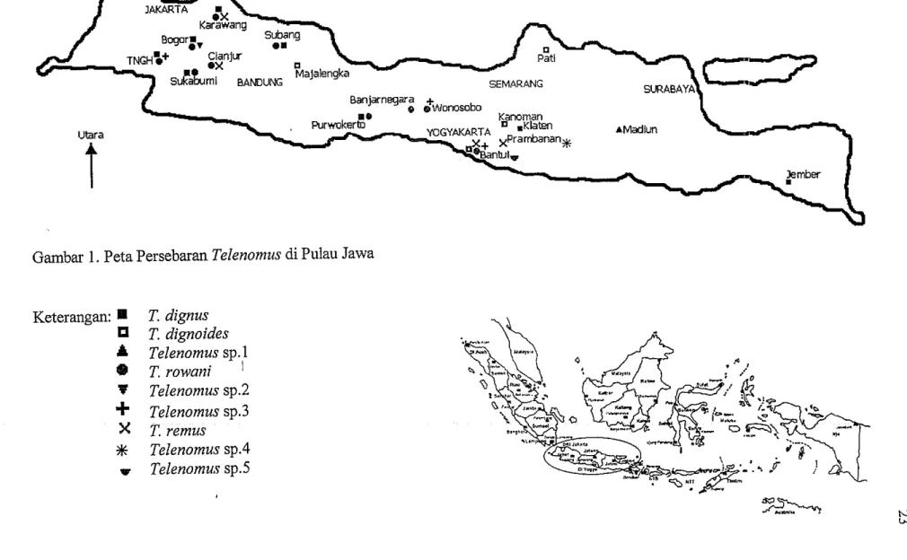 Gambar 1.  Peta Persebaran  Telenomus  di Pulau Jawa  Keterangan:  A  9  V  -I-  * X  T