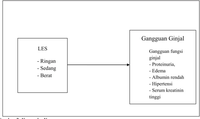 Gambar 2. Kerangka Konsep 