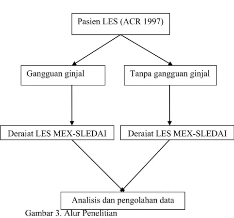 Gambar 3. Alur Penelitian 