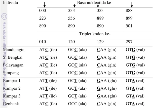 Tabel 10  Daftar situs nukleotida pembeda K. limpok Batang Hari dengan Kampar 