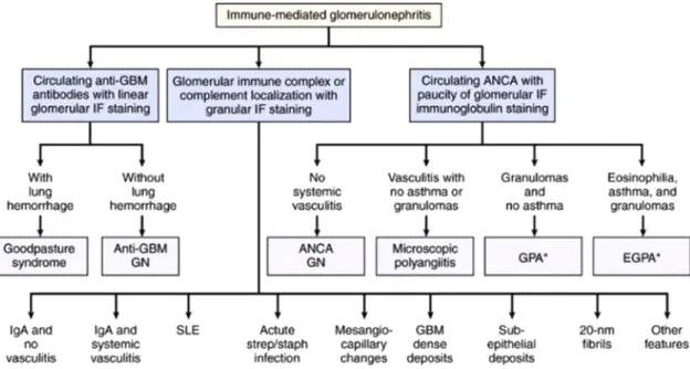 Gambar 2 memperlihatkan klasifikasi GNPC ini. 